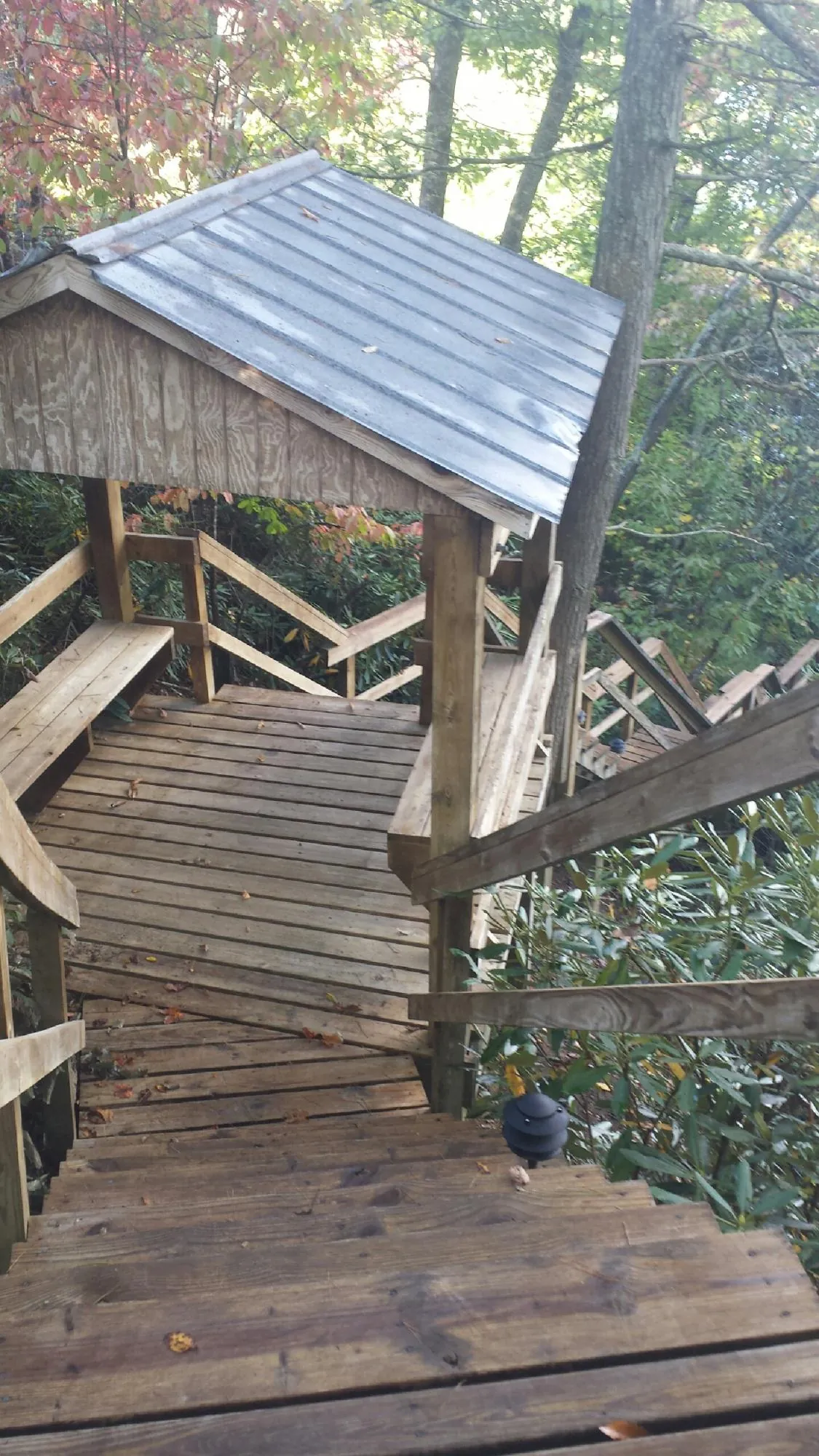 Metal roofed shelter over wooden steps on a wooded walkway in Cumberland